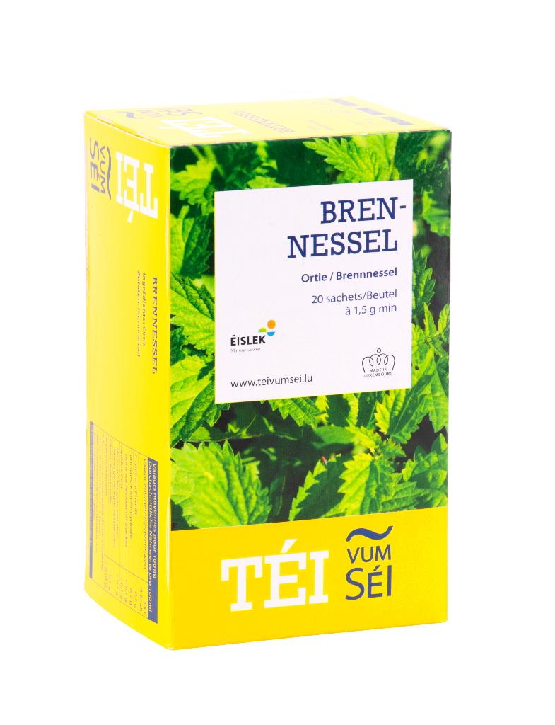 Brennessel